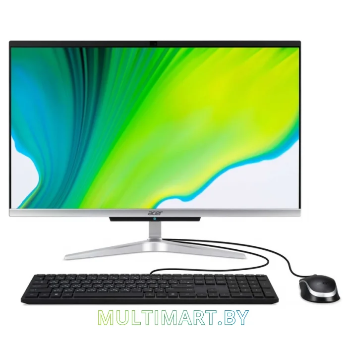 Моноблок Acer C22-420 (DQ.BFRER.006)